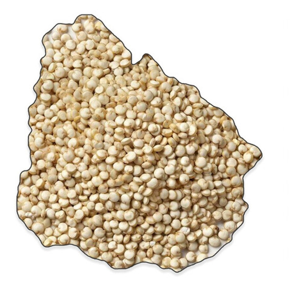 Semillas Quinoa Blanca - Excelente Calidad - 500g - Envios 0 Semillas Quinoa Blanca - Excelente Calidad - 500g - Envios 0