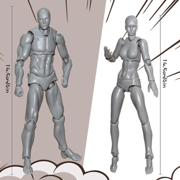 Conjunto De Figuras De Maniquí Para Dibujar, Macho Y Hembra, 1