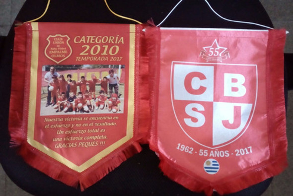 Banderín Personalizado Impreso En Tela Mate - 30x24 Cm. 1