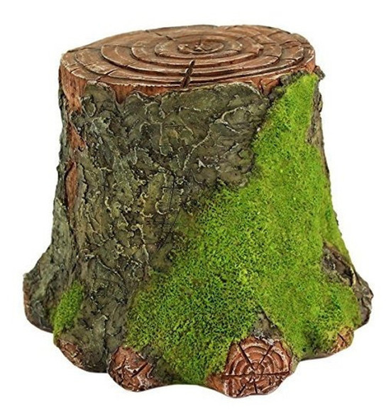 Top Collection Miniature Fairy Garden Y Terrarium Decorative 0