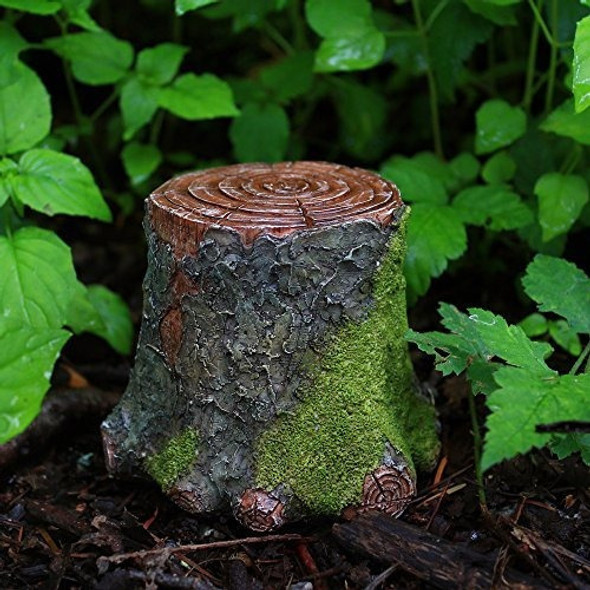 Top Collection Miniature Fairy Garden Y Terrarium Decorative 1