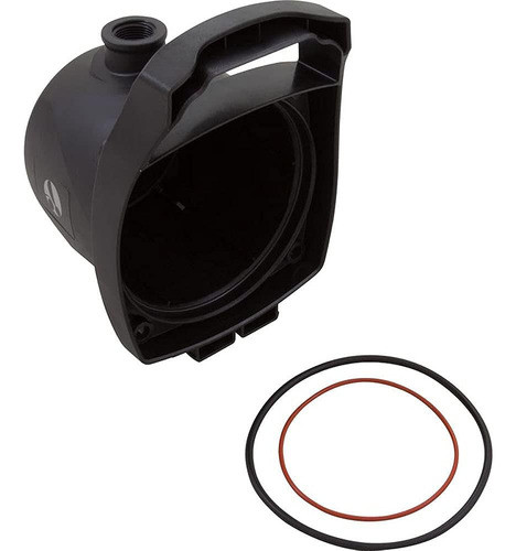 Cuerpo De Bomba De Piscina Polaris R0723100 Pb4sq, Negro 0