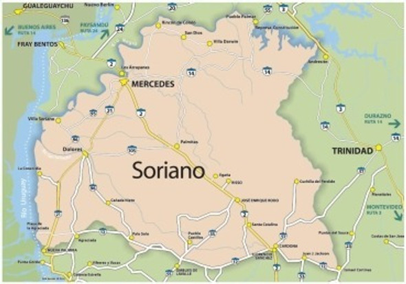 Mapa Del Departamento De Soriano - Uruguay - Lámina 45x30 Cm 1