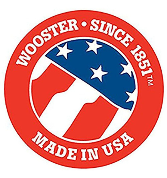 Cepillo Wooster Rr666 9 Pulgadas Pro / Doo-z Ftp Cubierta De 1