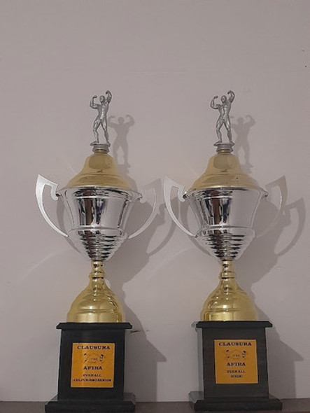 Trofeos Premiacion Copa De Metal 0 Trofeos Premiacion Copa De Metal 0