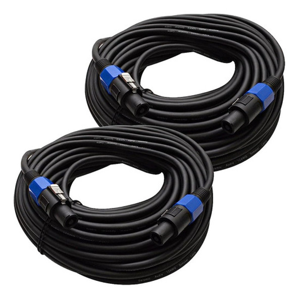 Seismic Audio Tw12s75pair 12 Calibre 75-feet Speakon To Spea 0