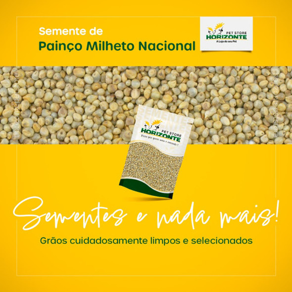 Painço Milheto 4kg Horizonte Semente Limpa Para Pássaros 1