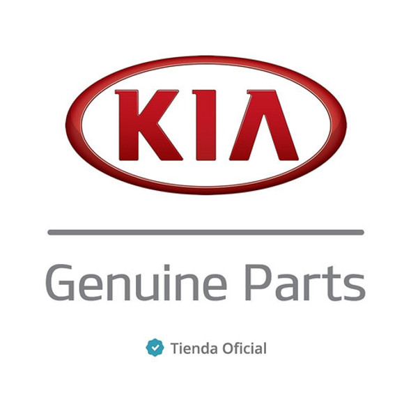 Riel De Paragolpe Delantero Kia Cerato Td 1