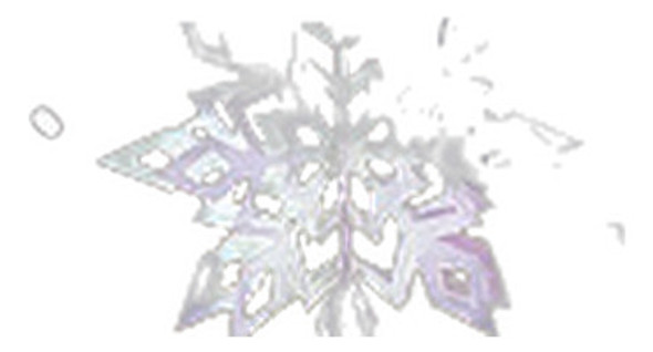 Copo Nieve Colgante 3d Navidad 12un Grandes Plata Brillante 0