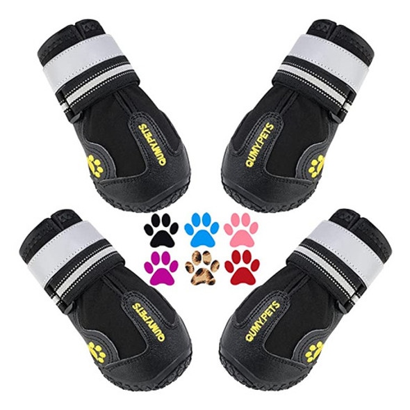 Calzado Mascota Zapato Talle 3 Color Negro 0