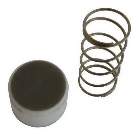 Reparo Da Valvula De Retenção 1  25 Pes W700 Reparo 23mm 1