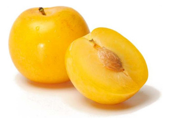 Árbol De Ciruelas Amarillas ( Dulces )inj. 2m 0 Árbol De Ciruelas Amarillas ( Dulces )inj. 2m 0