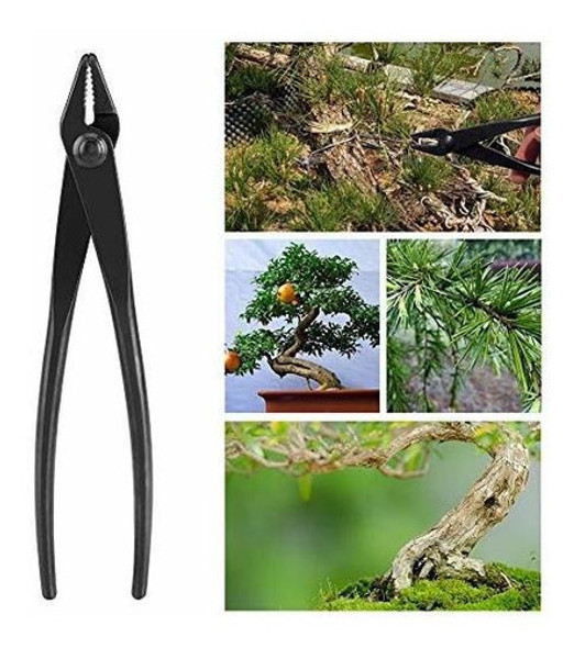 Alicates Para Bonsai: Alicates De Alambre Para Bonsai De Ale 1
