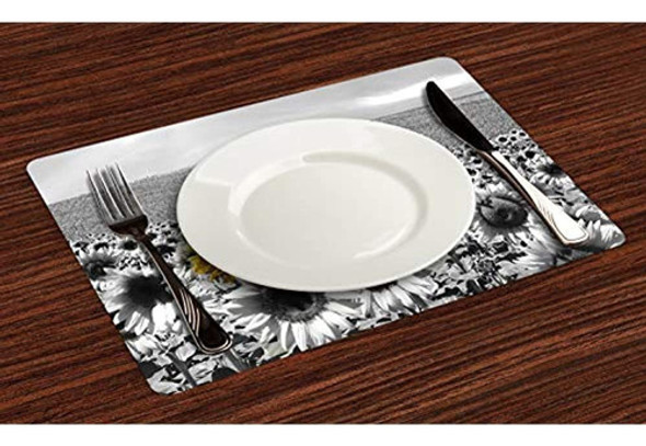 Lunarable Set De Manteles Modernos Set De 4 Campos De Giraso 1