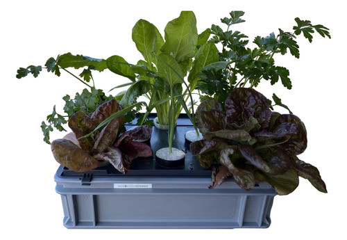 Kit De Iniciación Hidroponia. Sistema Flotante. Cultivo 0
