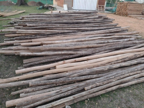 Varas De Ecualiptus. 3, 4, 5 Y 6 Mts 1