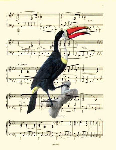 Tucan Sobre Notas Musicales - Lamina 45 X 30 Cm. 0