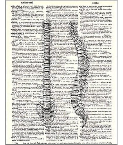 Beadalon  1inch Slide Connector Con Cierre Langosta Extensió 1