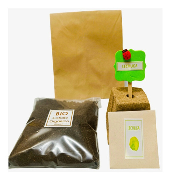 Kit Huerta Suvenir 40 Unidades 1