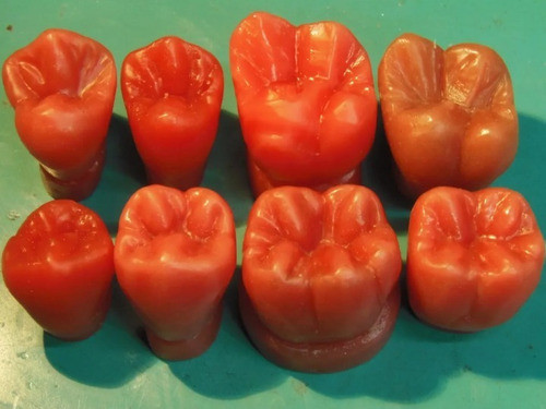 Dientes De Cera Macros 4 X 5 Cm 0