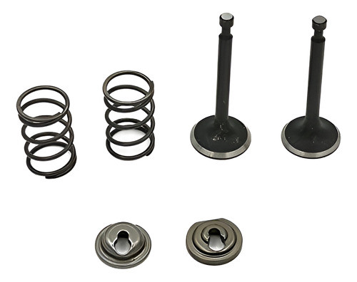 Valvulas Resortes Seguros Retenes 5,5 6,5 Gx160 Gx200 0