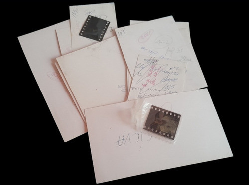 Fotografías De Archivo Periodístico Polilla Da Silva 1