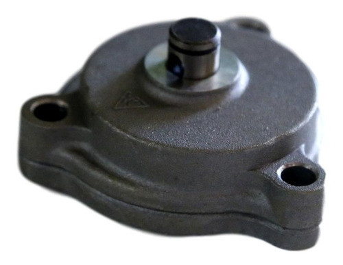 Bomba Aceite Completa Guerrero Gft300 0