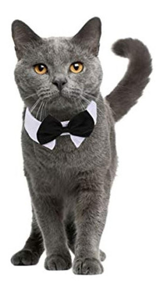 Ueetek Perro Pajarita Collar Perrito Mascota Pajarita Cuello 0 Ueetek Perro Pajarita Collar Perrito Mascota Pajarita Cuello 0