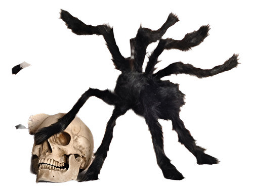Halloween De 12 Pulgadas Enorme Realista Peluda Araña Interi 0