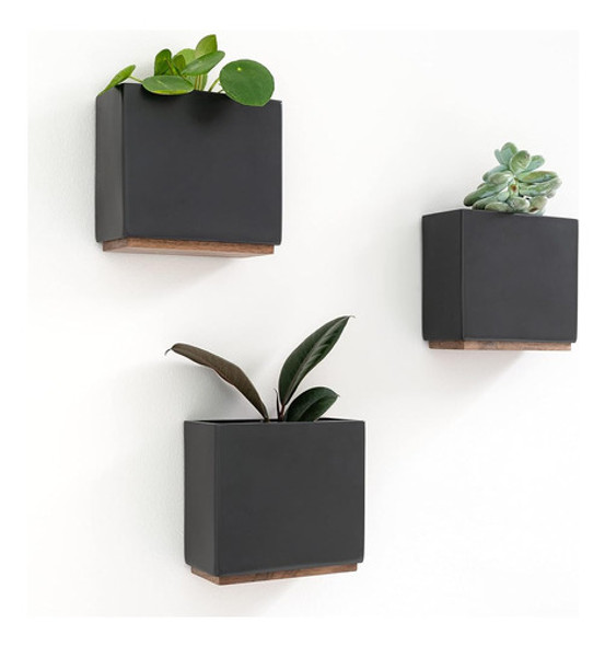 Kazai. Jardineras De Pared -alma- | 3 Macetas Colgantes Mode 0 Kazai. Jardineras De Pared -alma- | 3 Macetas Colgantes Mode 0