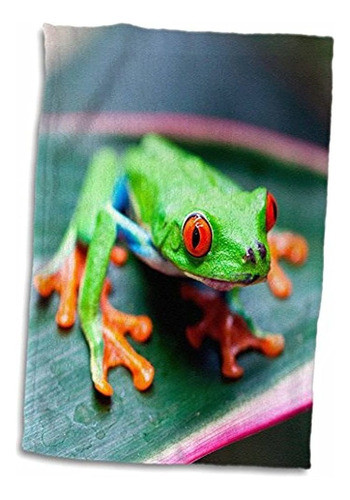 Toalla De Mano 3d Rose Red Eyed Tree Frog On Leaf-costa Rica 1