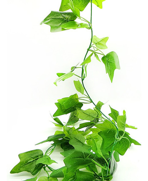 Guia De Hojas / Enredadera X2 0 Guia De Hojas / Enredadera X2 0