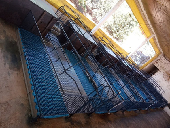 Piso Leitão Materinidade/creche Tribar - 50x60 - Unidade 1