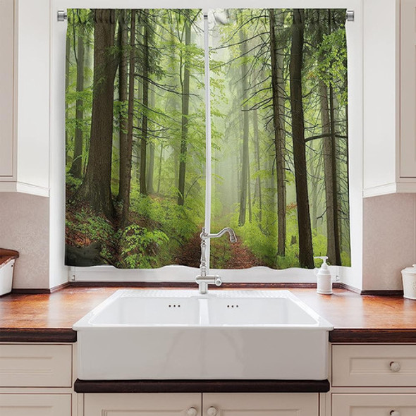 Ambesonne Cortinas De Cocina Al Aire Libre, Sendero A Través 1