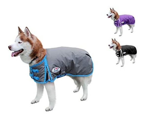 Derby Originals Color Solido Resistente Al Caballo 600d Imp 0 Derby Originals Color Solido Resistente Al Caballo 600d Imp 0