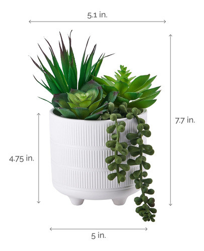 Elements Suculentas Maceta Cerámica Blanca Relieve Baño, 8 1