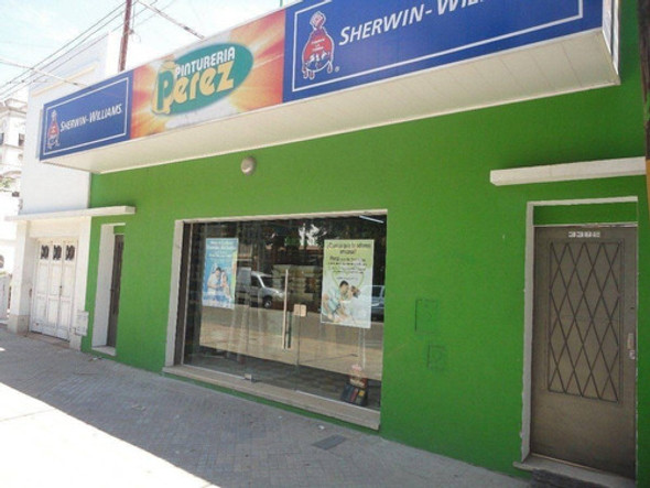 Pinceleta Gran Canaria Nº40 El Galgo Virola 8 Premium 10 Cm 1