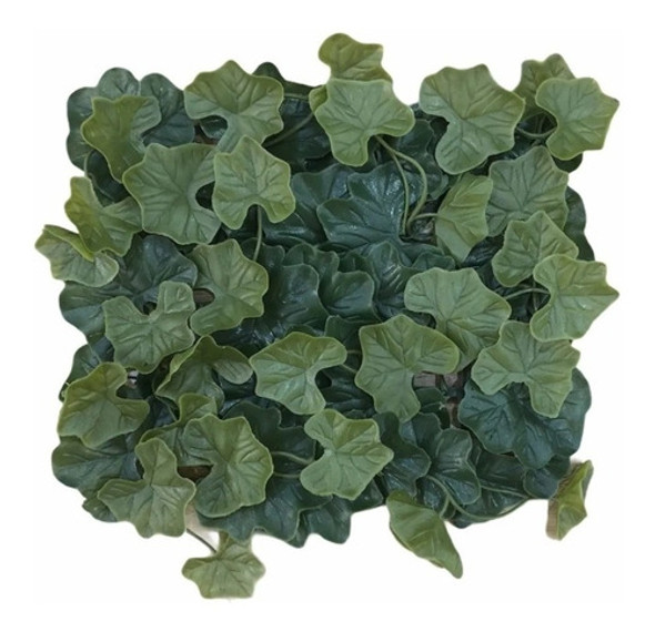 Jardin Vertical Exterior Muro Cesped Hojas Grandes 25x25 0