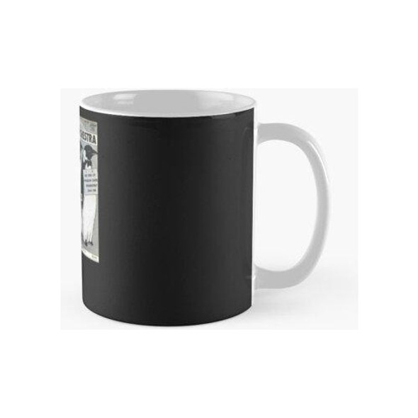 Taza Orquesta Penguin Cafe Pegatina Calidad Premium 0