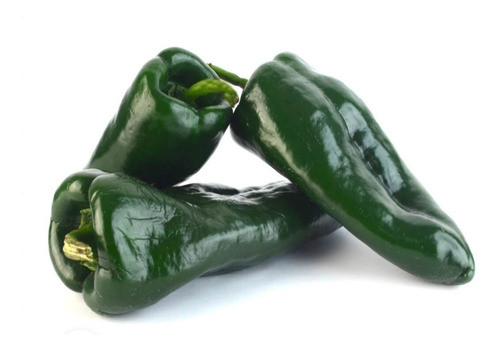 Semillas Chile Poblano 0