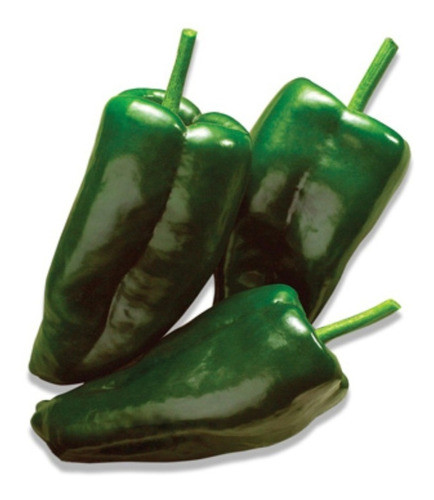 Semillas Chile Poblano 1