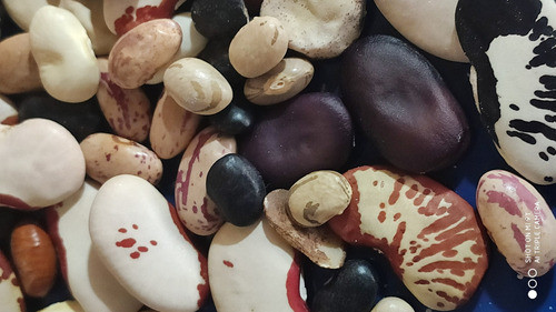 Bolsitas De La Abundancia Mix Porotos 10 Variedades 1