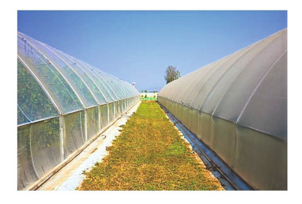 Nylon Invernaculo Agropecuario Uv - Ancho 4,20 Mts. Promo 0