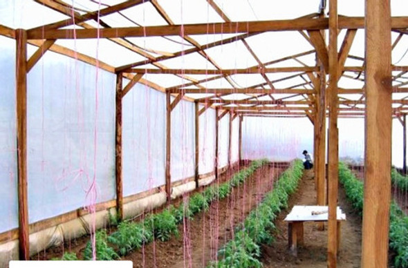 Nylon Invernaculo Agropecuario Uv - Ancho 4,20 Mts. Promo 0