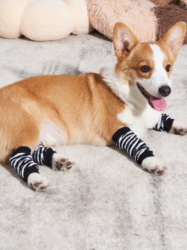 Calcetines Medias Pierna  Rayas Perros 4pzs Carolinas Home 1