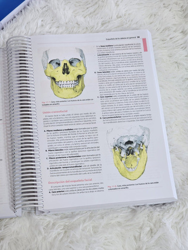 Latarjet 5 Edicion, Anatomia Humana 1