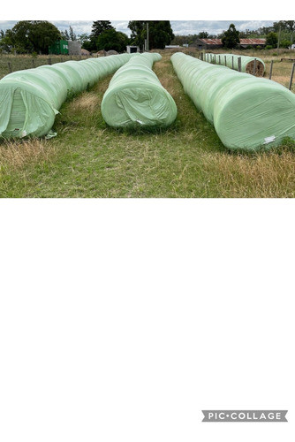 Fardos Silopack Raigrass 0