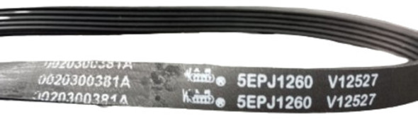 Correa Para Panavox Blue 5 K - 5epj1260 0