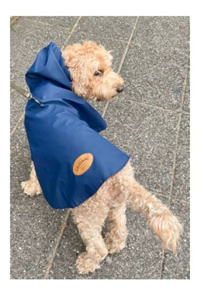 Piloto Apto Lavarropa Cocooning Scott Impermeable Perros Xxl 1