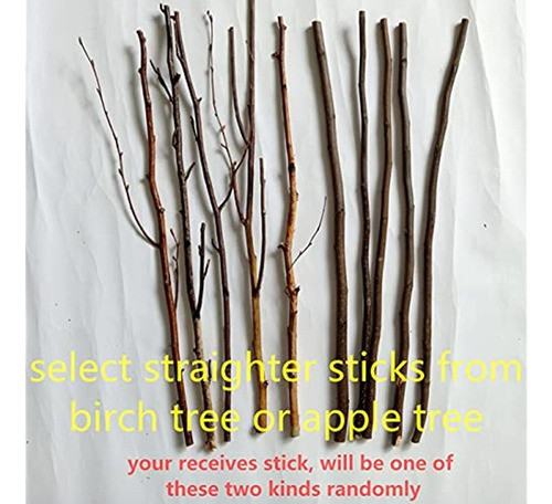 Estante De Flores Secas Colgante De Pared De Flores Secas De 1